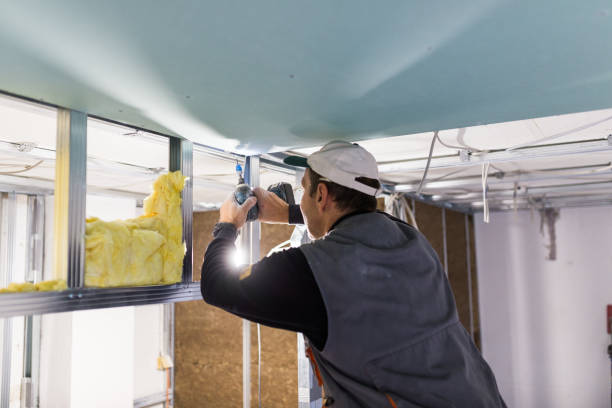 Best Spray Foam Insulation  in Miami Gardens, FL